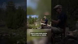 Miniature : La mare : reflet du ciel pour toute la faune de votre jardin