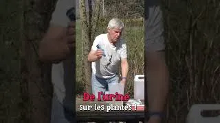 Miniature : De l'urine au jardin #jardin #permaculture