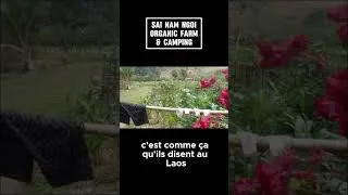 Miniature : Ferme bio au Laos: ce jardin est une leçon de permaculture