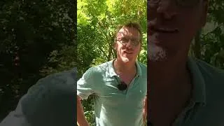 Miniature : Louis Fouché parle de Perma