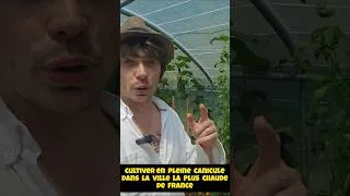 Miniature : Culture sous serre en pleine canicule #potager #jardin #permaculture #astuce