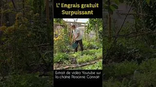 Miniature : Engrais liquide efficace fait maison