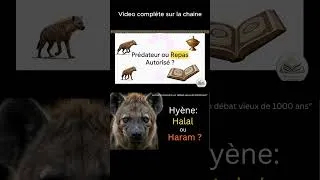 Miniature : Hyéne, peut on la manger