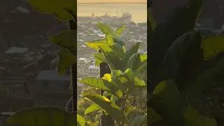 Miniature : Magistra Okap la pa bezwen konsèy, men pito aksyon fò e dirèk. #ayiti