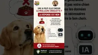 Miniature : Nutrition animale : Votre IA vous ment-elle sur les croquettes de votre chien ?
