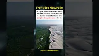 Miniature : Le Désert Brésilien qui n'en est pas un : Découvrez les Lençóis Maranhenses ! 🇧🇷