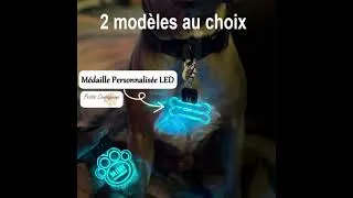 Miniature : Médaille d'identification lumineuse LED