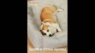 Miniature : Canapé lit d'hiver pour chiens et chats