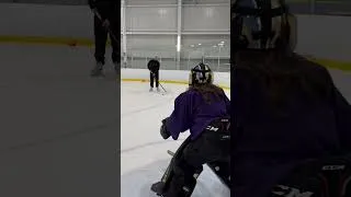 Miniature : Storm Phaneuf Low to High plays goalies