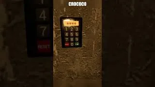 Miniature : C'est quoi ce bordel // Crococo