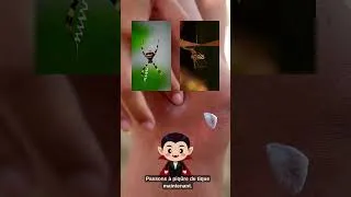 Miniature : Reconnaitre les piqures de l'été !