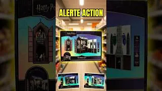 Miniature : Alerte Harry Potter / Hogwarts : Les nouveaux Booknooks sont arrivés chez Action ! 🚨