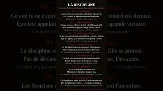 Miniature : 👉 7 Règles de Discipline Stoïcienne (Que Personne N’Applique)