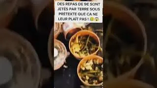 Miniature : Etonné? Pas du tout ...