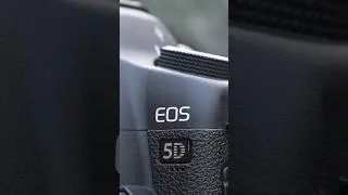 Miniature : 📸 Rétro-test Canon EOS 5D Mark II