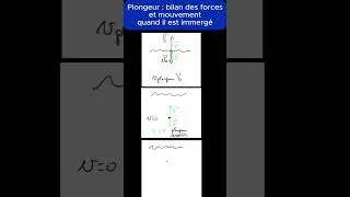 Miniature : Mouvement d'un plongeur dans l'eau  #physiquechimie #science #education #mécanique