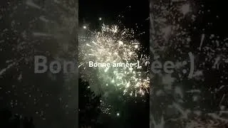 Miniature : Que du bonheur pour cette année !