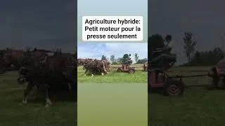 Miniature : Agriculture hybride: petit moteur pour la presse seulement, les chevaux font le reste