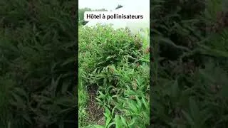 Miniature : Hôtel à pollinisateurs