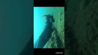 Miniature : Grotte secrète à Marseille 🌞🌊 (sous-marine)