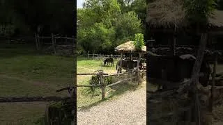 Miniature : Les terres du seigneur des anneaux.. en France !