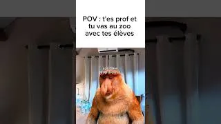 Miniature : POV : t'es prof et tu vas au zoo avec tes élèves 😭😭🐒