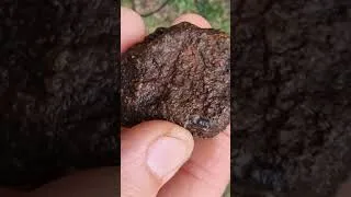 Miniature : dit moi si j’ai trouvé 😋 une météorites 🤔