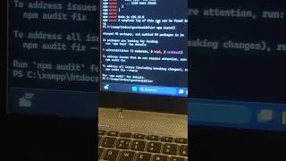 Miniature : laravel : vulnérabilité dans l'installation des packages