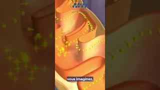 Miniature : PIMO Restaurer le plein potentiel de vos mitochondries