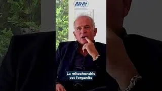 Miniature : Présentation Pimo