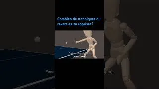 Miniature : Combien de techniques du revers as-tu apprises？