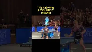 Miniature : This Rally Was ABSOLUTELY INSANE! #TableTennis #ChampionsLeague #EpicRally #PingPong #ETTU