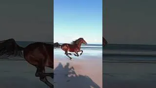 Miniature : #incredible #horse #beautiful #beach #ocean #animals