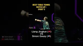 Miniature : Best match up in table tennis part 1