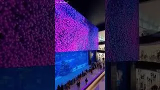 Miniature : Découvrez le monde de l'art et de la culture d'une toute nouvelle manière avec les écrans géants LED