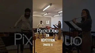 Miniature : Sneak peek rehearsal on Animal Crossing New Leaf 🌿🎵