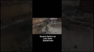 Miniature : sekiro se prend pour spiderman #gaming #games #gameplay #sekiro #sekiroshadowsdietwice