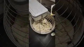 Miniature : L'huile d'olive dans la pâte à pizza 🍕