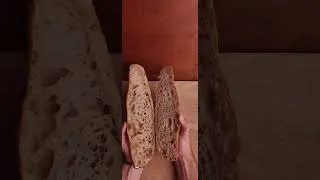 Miniature : Ciabatta 95%💧
