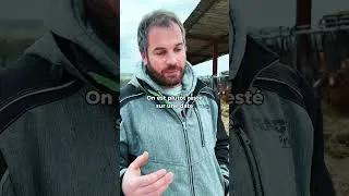 Miniature : Matinale Sem’Expert Épisode 2 — Mini ITW : Pierre Grégoire raconte son expérience 🌽