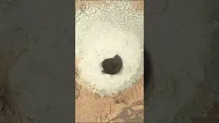 Miniature : "Les incroyables images de Mars : la planète rouge comme vous ne l'avez jamais vue"