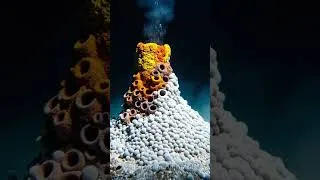 Miniature : 20 Paradis Cachés qui Semblent Venir d’une Autre Planète | Merveilles du Monde