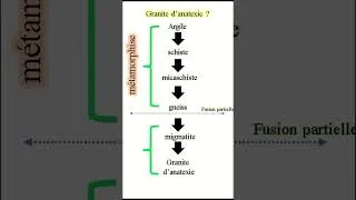 Miniature : Du métamorphisme au magma : rôle de l’anatexie #science #bac