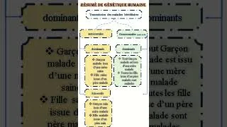 Miniature : Génétique Humaine en 60s 😱🧬       #svt #science #2bacsvt #biologie #bac #bac2026