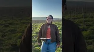 Miniature : [Teaser] Podcasts PNDV "Vignes et vérités : ne laissons pas les idées reçues prendre racines !"