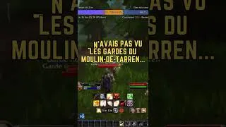 Miniature : JE N'AVAIS PAS VU LES GARDES DU MOULIN-DE-TARREN... #mmorpg #wowclassichardcore #wow