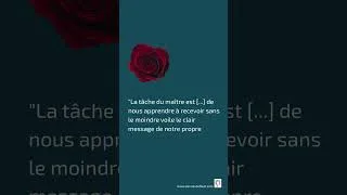 Miniature : maitre spirituel ou gourou ? comment ne pas se tromper ?