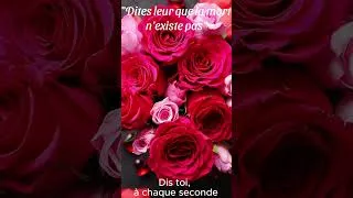 Miniature : Ne pleure plus, maman         #amour