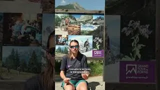 Miniature : 1001 questions pas si bêtes - Saison 3, épisode 12