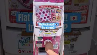 Miniature : I love Gacha! #collectibles #collector #hobbies #gachapon #japanthings #gachaclub #japantrip
